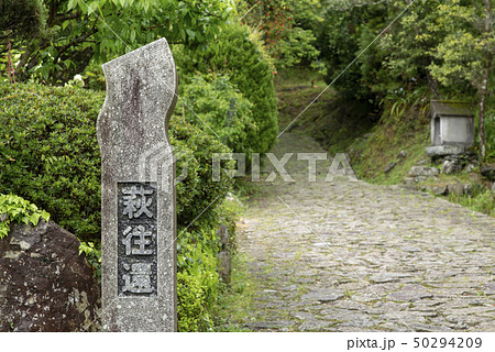 萩往還 萩往還 50294209