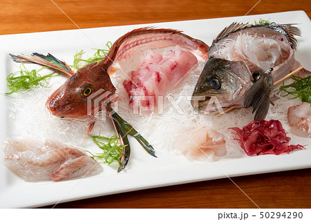 姿造り スズキとホウボウ 姿造り スズキとホウボウ 50294290