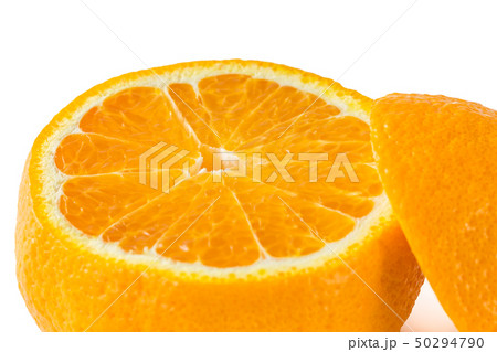 デコポン デコポン 50294790