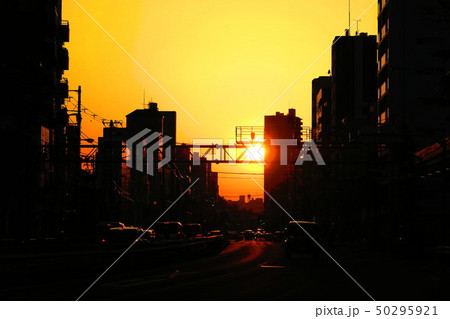 東京都北区志茂付近の北本通りの夕暮れの風景 東京都北区志茂付近の北本通りの夕暮れの風景 50295921