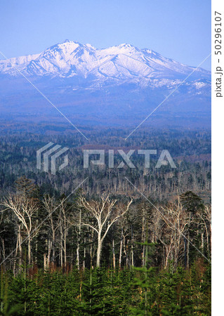 藻琴山展望台からの斜里岳 50296107