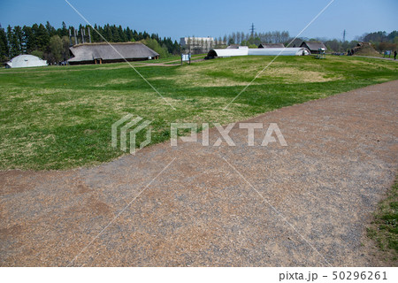 青森　三内丸山遺跡　広いみち 50296261