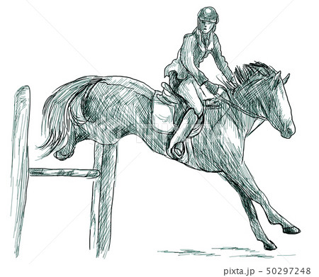 Show Jumping, hand drawn illustration. Line art 50297248