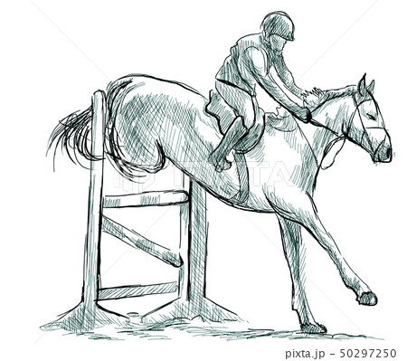 Show Jumping, hand drawn illustration. Line art 50297250