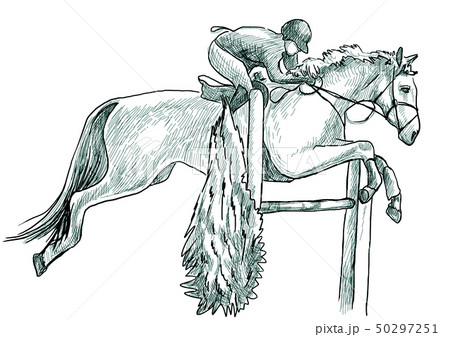Show Jumping, hand drawn illustration. Line art 50297251