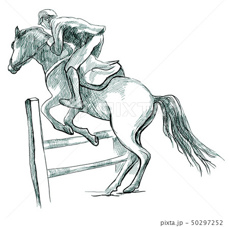 Show Jumping, hand drawn illustration. Line art 50297252
