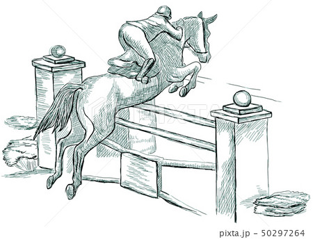 Show Jumping, hand drawn illustration. Line art 50297264