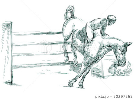 Show Jumping, hand drawn illustration. Line art 50297265