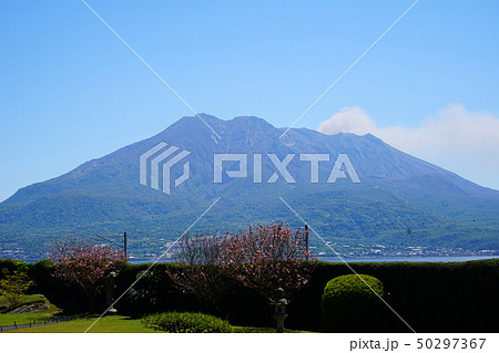 仙厳園 鹿児島県 仙厳園 鹿児島県 50297367