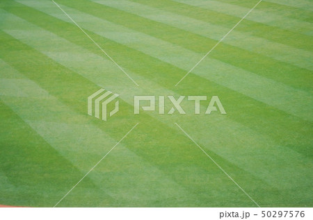 緑の芝生 スポーツ 50297576