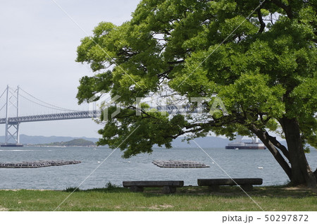 ナカンダ浜から瀬戸大橋 ナカンダ浜から瀬戸大橋 50297872