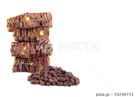 Bee bread granules and a piece of honey cells are Bee bread granules and a piece of honey cells are 50298733