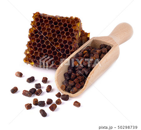 Bee bread granules and a piece of honey cells are 50298739