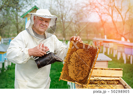 Beekeeper holding a honeycomb full of bees. Beekeeper holding a honeycomb full of bees. 50298905