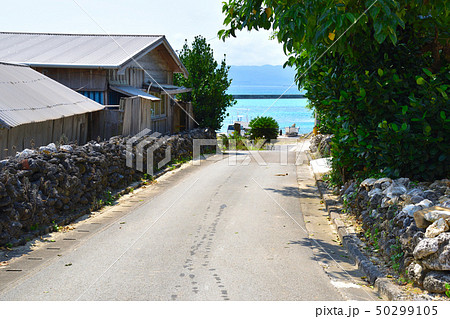 鳩間島 鳩間島 50299105