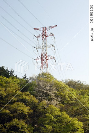 深緑と桜の山梨県大月市笹子峠の山間に建つ高圧送電線鉄塔 深緑と桜の山梨県大月市笹子峠の山間に建つ高圧送電線鉄塔 50299159