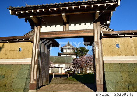 北海道松前町松前城公園で満開の桜と城郭の朝の風景を撮影 50299246
