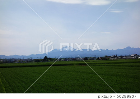 玉村町から浅間山を望む 50299807