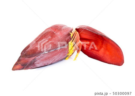Fresh banana blossom isolated on white background Fresh banana blossom isolated on white background 50300097