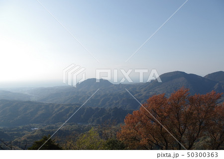 屋山城から望む 50300363