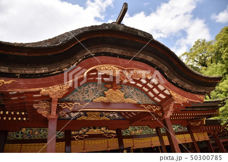 太宰府天満宮 太宰府天満宮 50300785