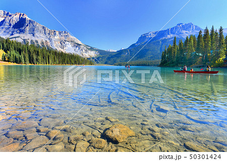 Emerald Lake,Yoho National Park in Canada Emerald Lake,Yoho National Park in Canada 50301424