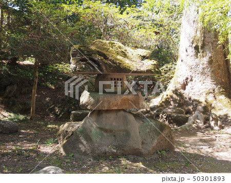 石灯篭(原邸別荘庭園 天神山/埼玉県神川町渡瀬) 石灯篭(原邸別荘庭園 天神山/埼玉県神川町渡瀬) 50301893
