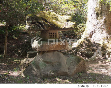 石灯篭(原邸別荘庭園 天神山/埼玉県神川町渡瀬) 石灯篭(原邸別荘庭園 天神山/埼玉県神川町渡瀬) 50301902