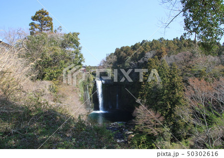 静岡の春 静岡の春 50302616