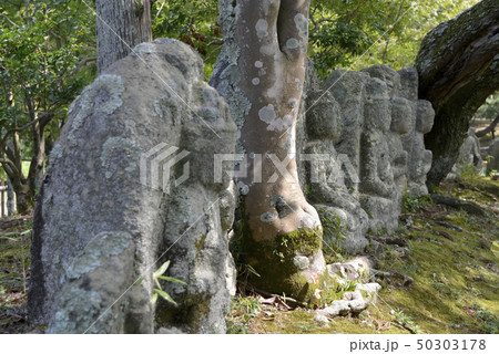 大沢池 石仏群 大沢池 石仏群 50303178