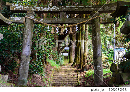籾山神社2019 50303248