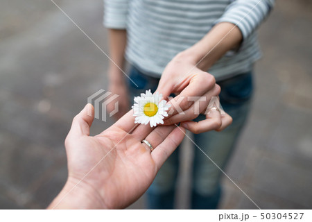 花を手渡す男女 花を手渡す男女 50304527