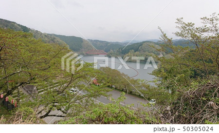 青連寺の自然 50305024