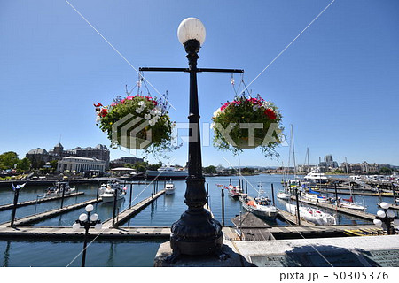 カナダビクトリア州 50305376