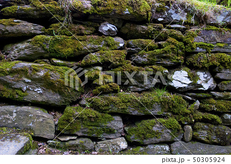 pebble wall with moss, National Park, County pebble wall with moss, National Park, County 50305924