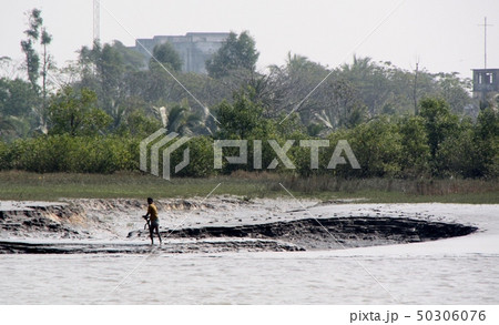シュンドルボンの風景 50306076