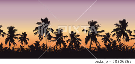 Realistic silhouette of tree tops, palm trees in 50306865
