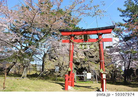 粟島にある弁天岩 粟島にある弁天岩 50307974