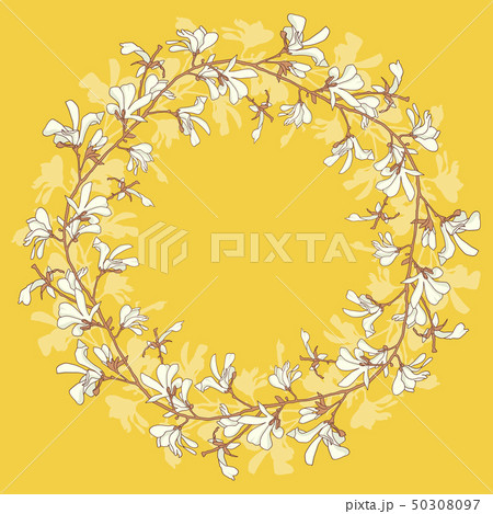 Floral frame with magnolia tree blossom. Yellow background with branch and magnolia flower. Spring 50308097