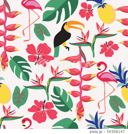 Summer background with tropical plants and birds 50308147