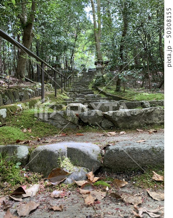 赤山禅院 50308155