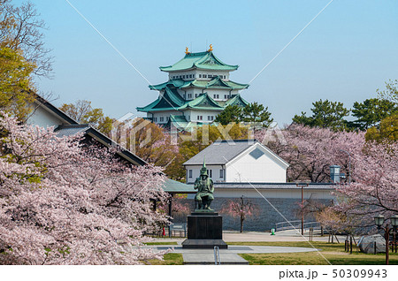 加藤清正像と名古屋城 平成最後(2019年)の春景色 加藤清正像と名古屋城 平成最後(2019年)の春景色 50309943