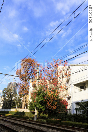 都電(夏) 都電(夏) 50310287