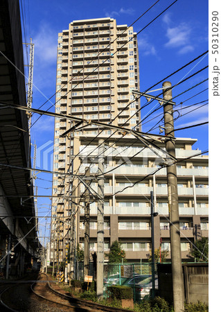 都電(夏) 都電(夏) 50310290