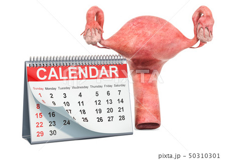 Planning pregnancy concept, 3D rendering Planning pregnancy concept, 3D rendering 50310301