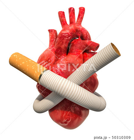 Heart disease from smoking, concept Heart disease from smoking, concept 50310309