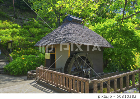 山吹の里歴史公園 水車小屋 山吹の里歴史公園 水車小屋 50310382