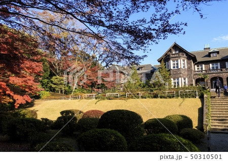 旧古河庭園(冬) 旧古河庭園(冬) 50310501