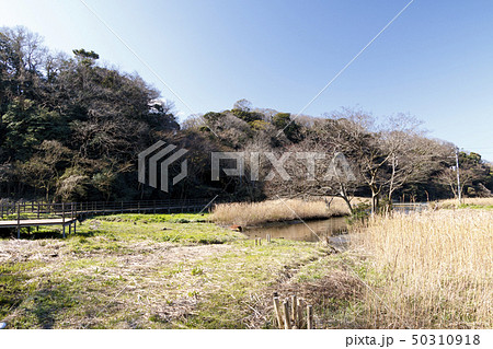 湿原 湿原 50310918