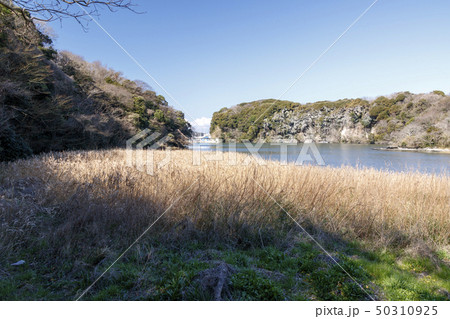 湿原 湿原 50310925